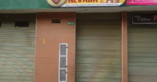 DELICIAS NEVADA DELICIAS NEVADA